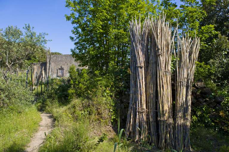 The Maddalena Woods and the "Cretaio"