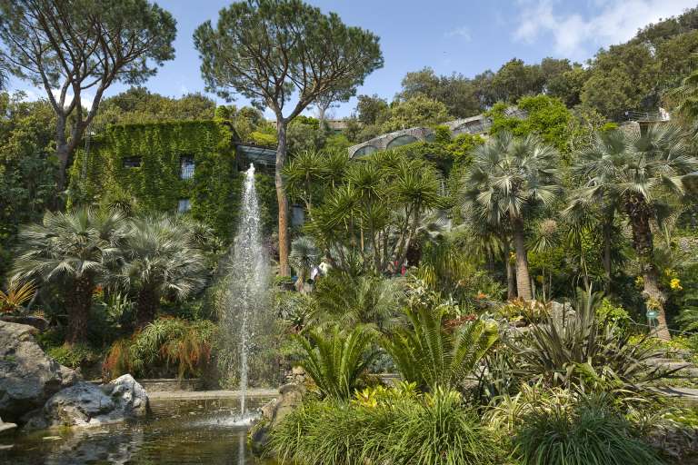 The "La Mortella" Gardens